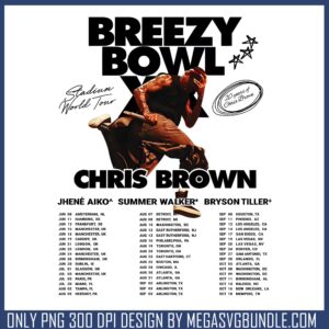 Chris brown summerwalker png, chris brown​ png, chris brown tour​ png