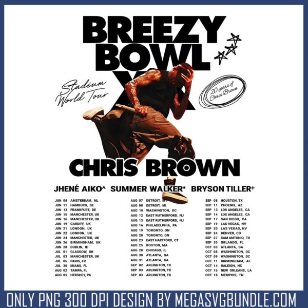 Chris brown summerwalker png, chris brown​ png, chris brown tour​ png