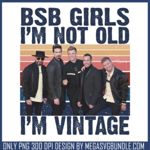 In my bsb era since 93 png, bachstreet boys png, pop songs png